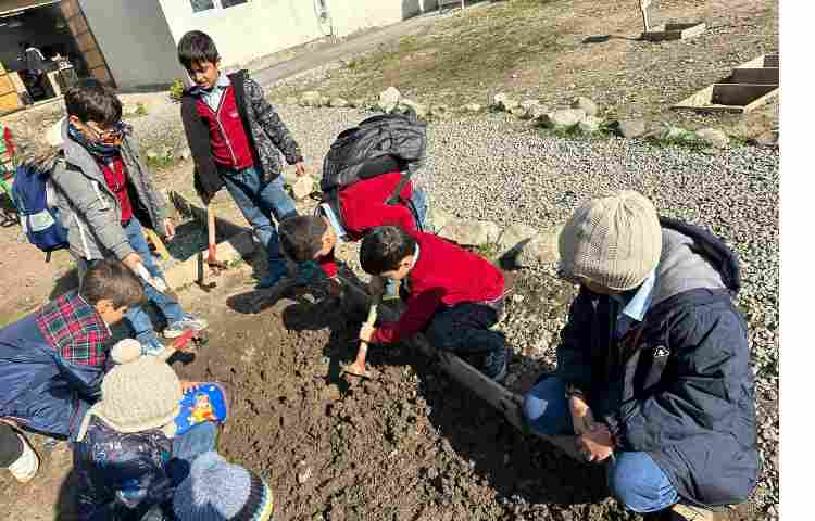 اردوی علمی پارک حیاط 2