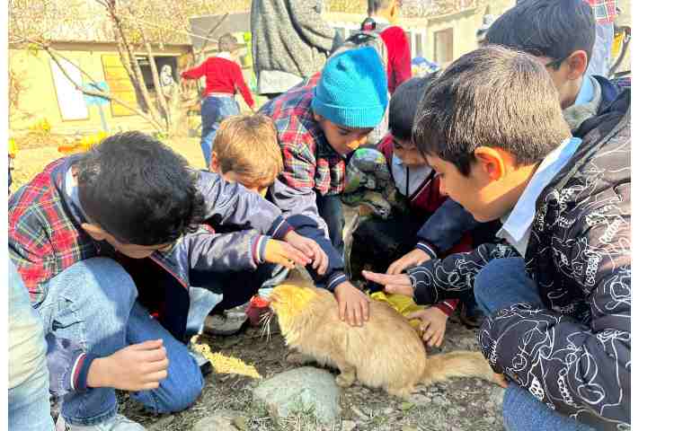 اردوی علمی پارک حیاط 6