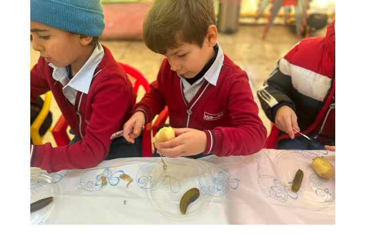 اردوی علمی پارک حیاط 8