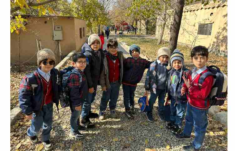 اردوی علمی پارک حیاط