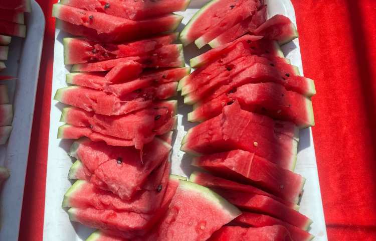 اردوی مادر و پسر ویژه پایه سوم 23