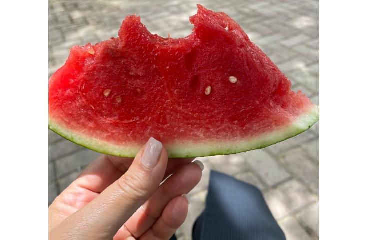 اردوی مادر و پسر ویژه پیش دبستان 4