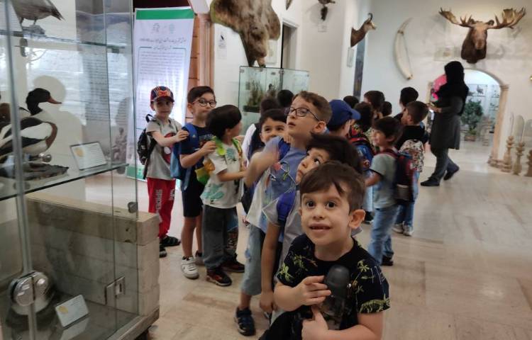 : اردوی موزه حیات وحش دارآباد، پایه پیش دبستان 11