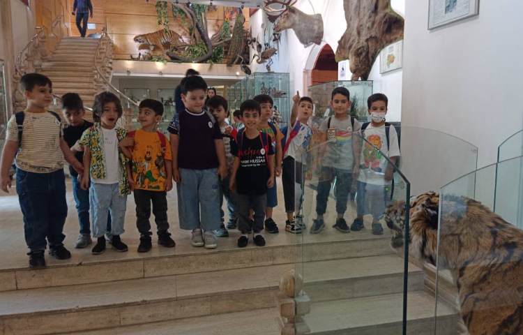 : اردوی موزه حیات وحش دارآباد، پایه پیش دبستان 3