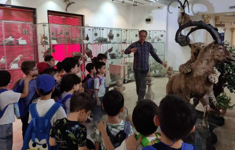 : اردوی موزه حیات وحش دارآباد، پایه پیش دبستان