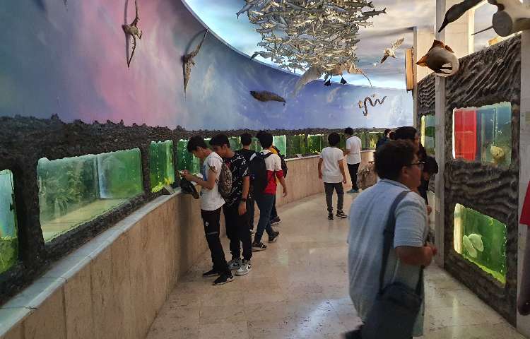 اردوی موزه حیات وحش