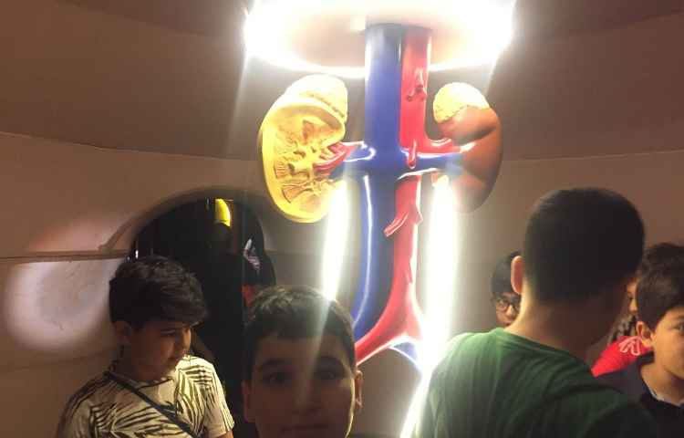 اردوی هیومن پارک 1