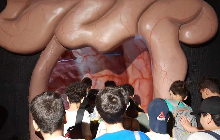 اردوی هیومن پارک 10