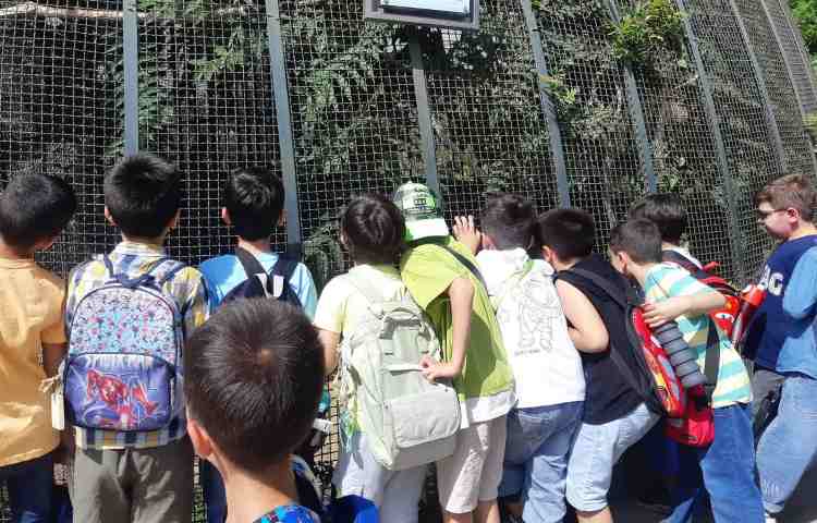 اردوی هیومن پارک 2