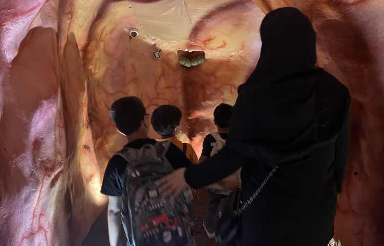 اردوی هیومن پارک 2