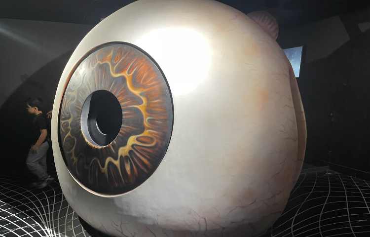 اردوی هیومن پارک 3