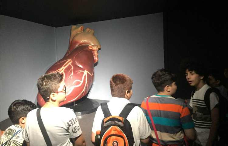 اردوی هیومن پارک 3