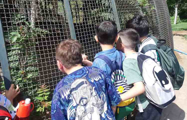 اردوی هیومن پارک 4