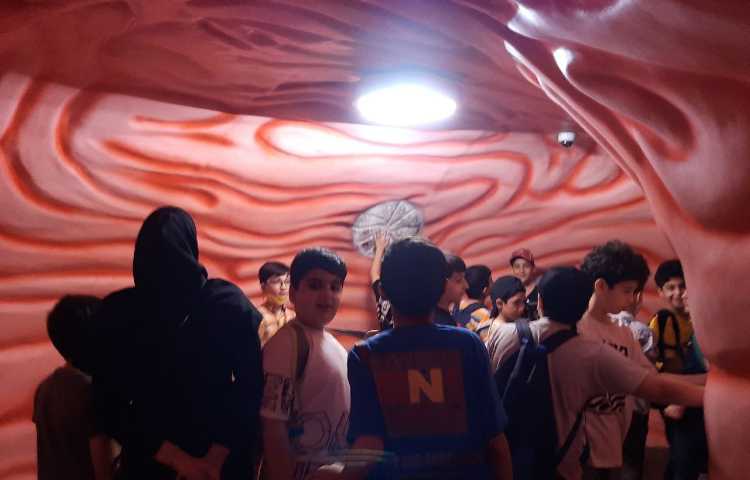 اردوی هیومن پارک 4