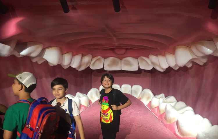 اردوی هیومن پارک 4