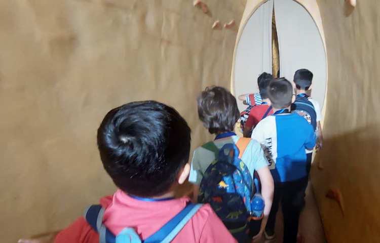 اردوی هیومن پارک 5