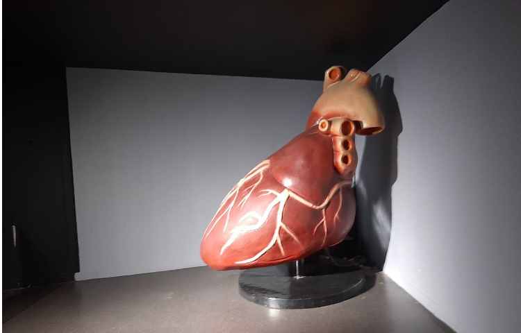 اردوی هیومن پارک 5