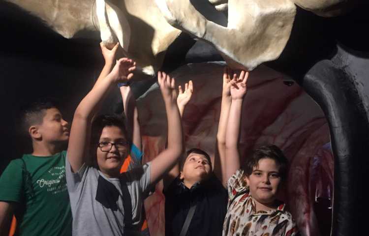 اردوی هیومن پارک 5