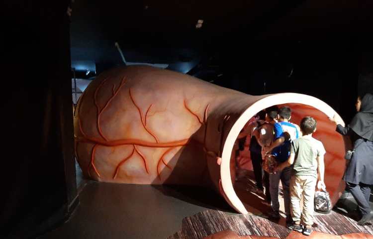 اردوی هیومن پارک 5