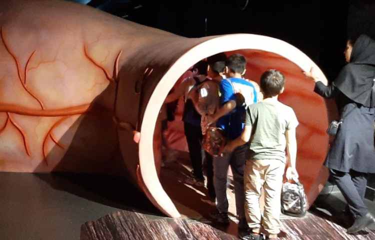 اردوی هیومن پارک 6