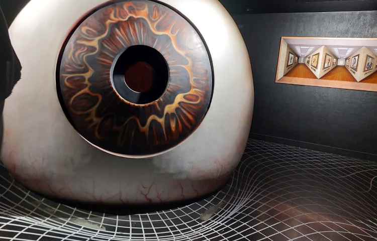 اردوی هیومن پارک 7