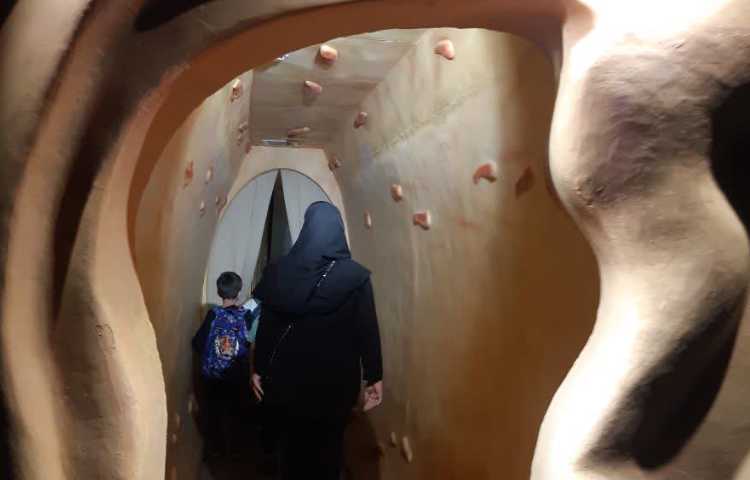 اردوی هیومن پارک 7