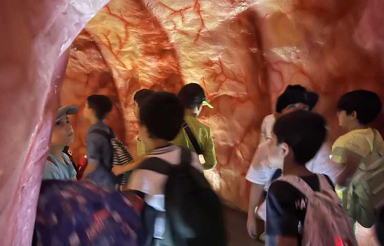 اردوی هیومن پارک 7