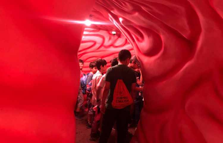 اردوی هیومن پارک 7