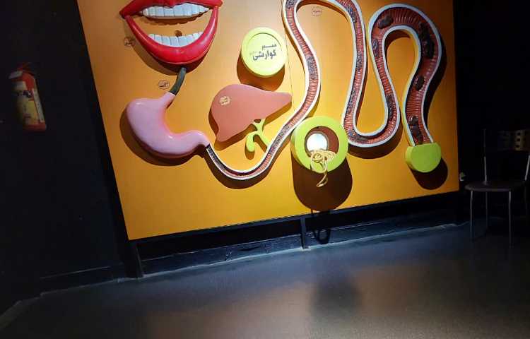 اردوی هیومن پارک 8