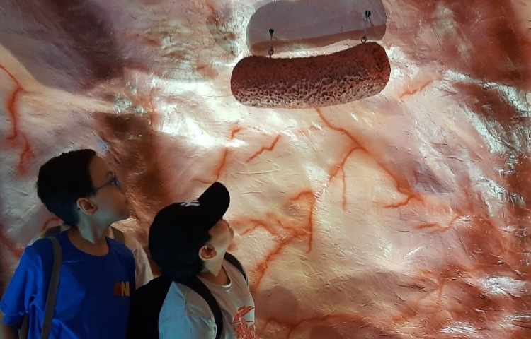 اردوی هیومن پارک 8