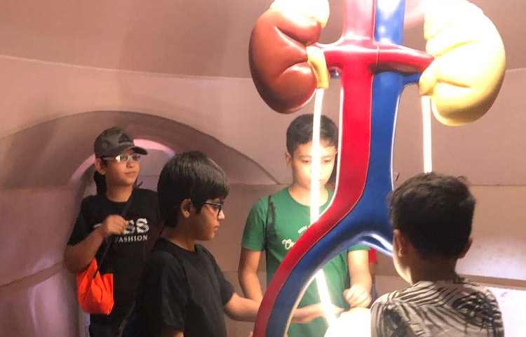 اردوی هیومن پارک 8