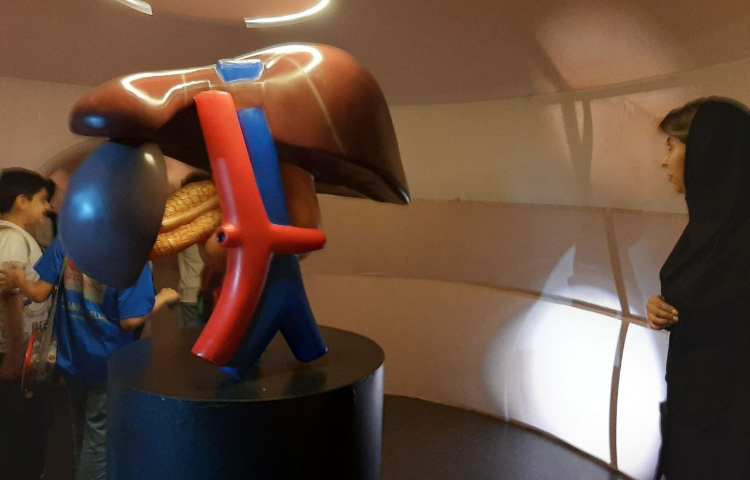 اردوی هیومن پارک 9