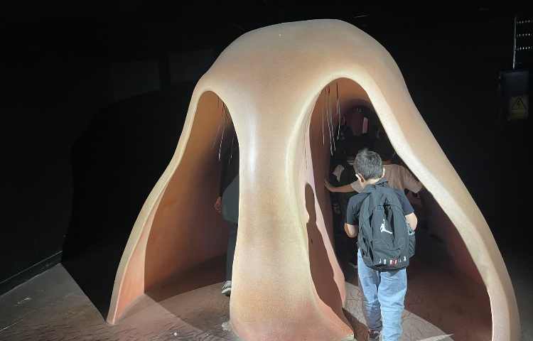 اردوی هیومن پارک