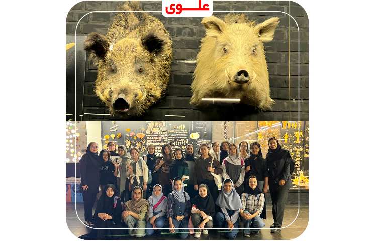 اردوی پارک علمی پروفسور بازیما 10