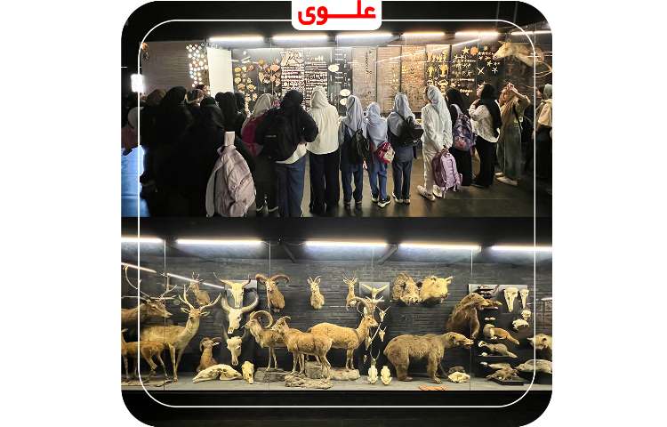 اردوی پارک علمی پروفسور بازیما 13