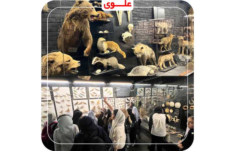 اردوی پارک علمی پروفسور بازیما 16