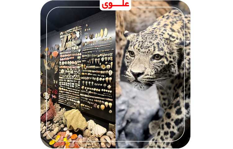 اردوی پارک علمی پروفسور بازیما 19