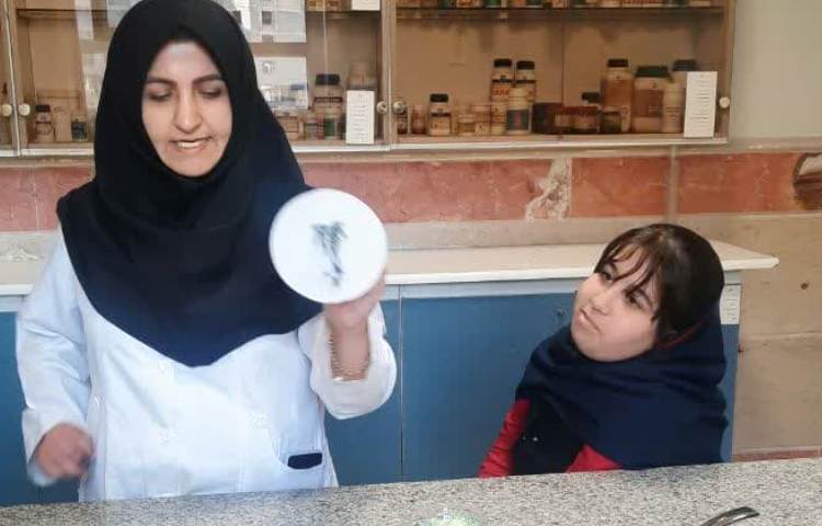 اردوی پژوهشسرا 8