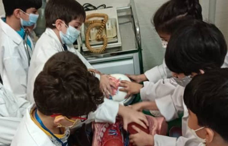 :اردوی کاربازیا، کلاس بادبادک 31