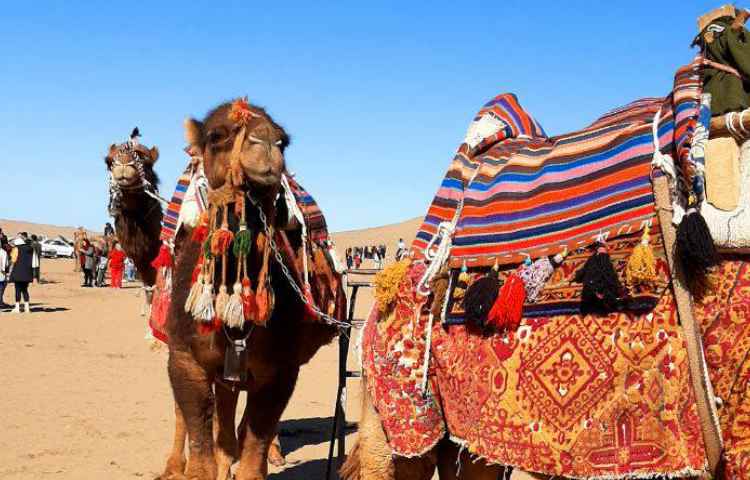 اردوی کاشان کویر ابوزید آباد 6