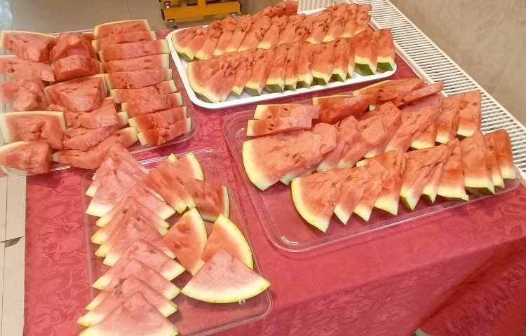 اردوی کف بازی 8