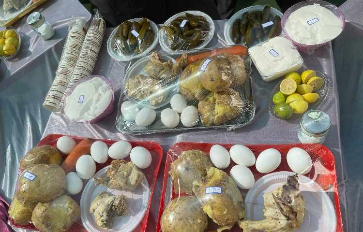 اردوی یک روز شاد در مدرسه 9