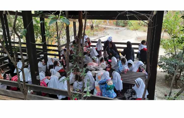 اردو باغ پرندگان 11