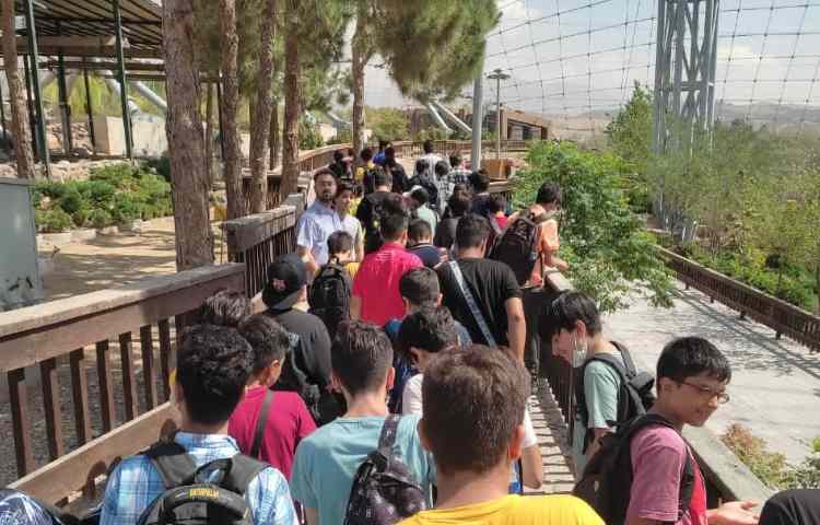 اردو باغ پرندگان 3