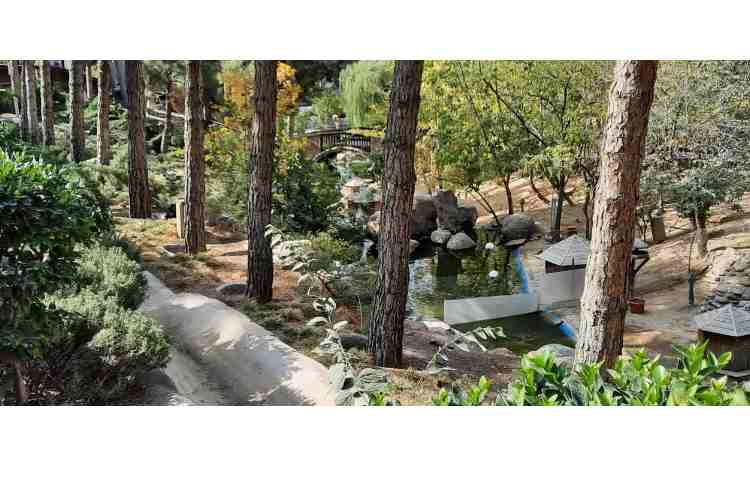 اردو باغ پرندگان 4