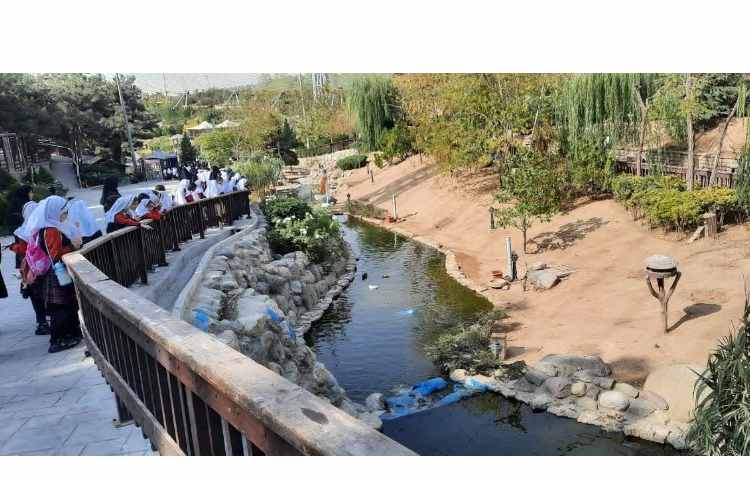 اردو باغ پرندگان 5