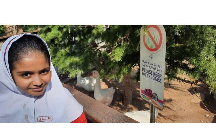 اردو باغ پرندگان 7