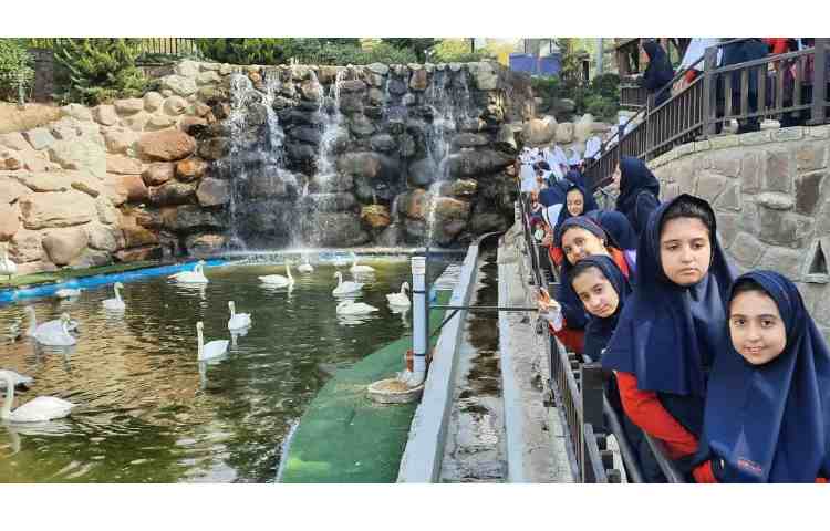 اردو باغ پرندگان 8