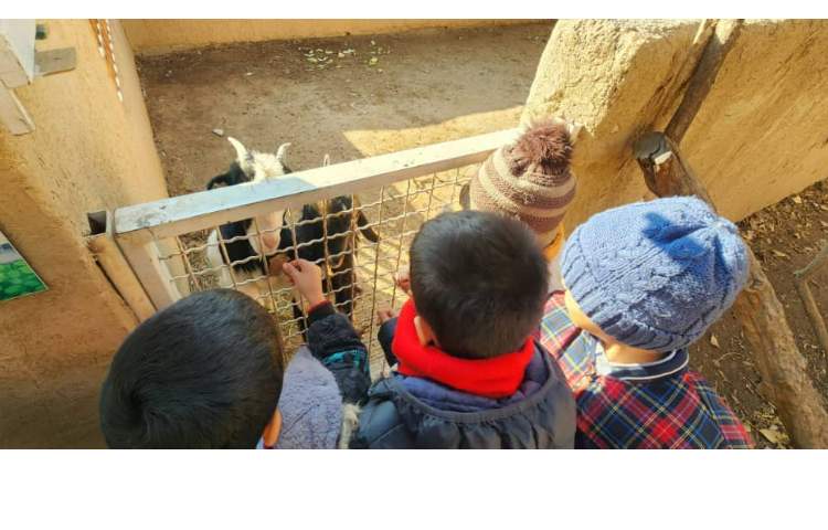 اردو حیاط پونک 14