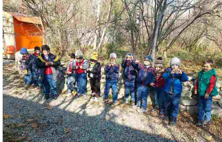 اردو حیاط پونک 29